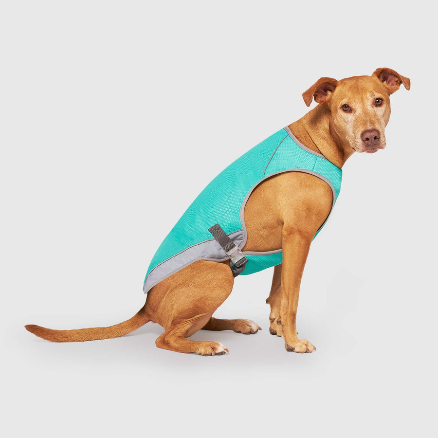 Canada Pooch / Chill Seeker Cooling Vest Wet Reveal